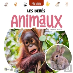 Bertrand.pt - Les Bébés Animaux