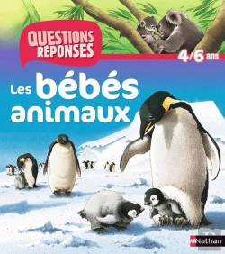 Bertrand.pt - Les Bebes Animaux