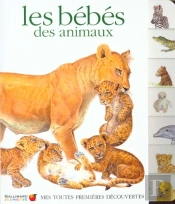 Les Bebes Des Animaux