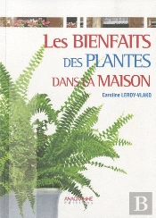 Les Bienfaits Des Plantes Dans La Maison