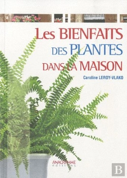 Bertrand.pt - Les Bienfaits Des Plantes Dans La Maison