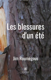 Les Blessures D Un Ete