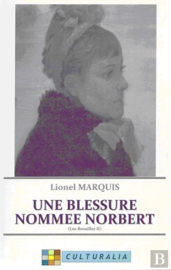 Bertrand.pt - Les Breuillet T.2 ; Une Blessure Nommée Norbert
