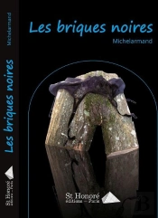 Les Briques Noires