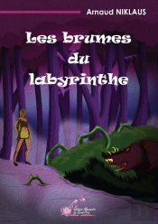 Les Brumes Du Labyrinthe