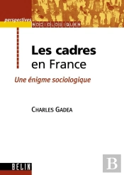 Les Cadres En France ; Une Énigme Sociologique