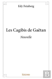 Les Cagibis De Gaëtan : Nouvelle