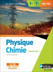 Les Cahiers De Newton : Physique-Chimie 1re/Term Bac Pro - Groupement 2 (Les Cahiers De Newton) - Livre + Licence Élève 2020