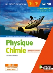 Les Cahiers De Newton : Physique-Chimie : 1re/Terminale Bac Pro : Groupement 6 : Livre + Licence Élève (Édition 2020)