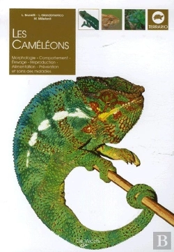 Bertrand.pt - Les Caméléons