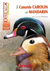 Les Canards Carolin Et Mandarin