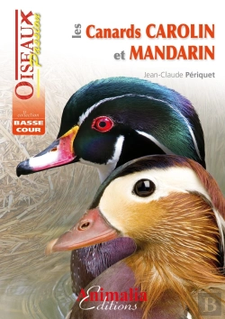Bertrand.pt - Les Canards Carolin Et Mandarin