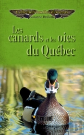 Les Canards Et Les Oies Du Québec