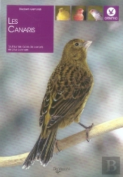 Les Canaris ; Tout Sur Les 36 Races Les Plus Connues