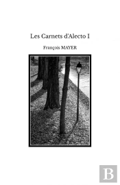 Les Carnets D'Alecto I