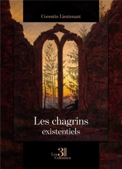 Bertrand.pt - Les Chagrins Existentiels