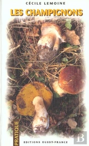 Les Champignons