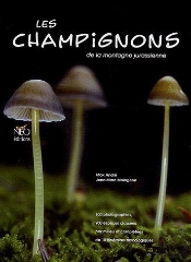 Les Champignons De La Montagne Jurassienne
