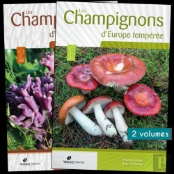 Bertrand.pt - Les Champignons D'Europe Tempérée (2e Édition)