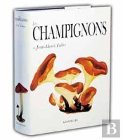Les Champignons