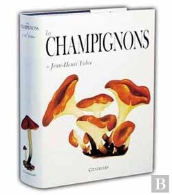 Bertrand.pt - Les Champignons