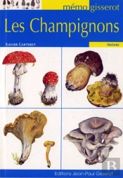 Les Champignons