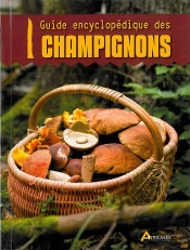 Les Champignons