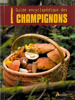 Bertrand.pt - Les Champignons