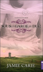 Les Châteaux Oubliés T.1 ; Sous La Garde Du Duc