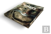 Les Chats Dans La Peinture