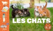 Les Chats De A A Z