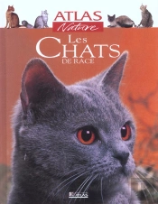 Les Chats De Race