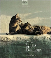 Les Chats Du Bonheur