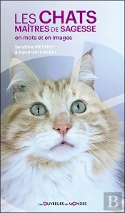 Les Chats Maîtres De Sagesse En Mots Et En Images