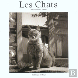 Bertrand.pt - Les Chats ; Photographies Et Poèmes