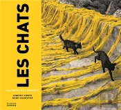 Les Chats Racontés Aux Enfants