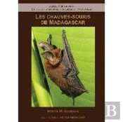 Les Chauvesâ€“Souris De Madagascar