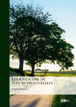 Bertrand.pt - Les Chemins De Mes Retrouvailles