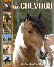 Les Chevaux