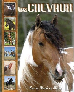 Bertrand.pt - Les Chevaux