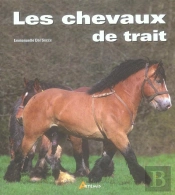 Les Chevaux De Trait