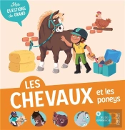Les Chevaux Et Les Poneys