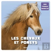 Les Chevaux Et Les Poneys