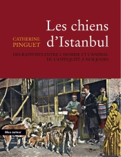 Les Chiens D'Istanbul