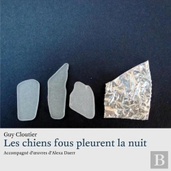Bertrand.pt - Les Chiens Fous Pleurent La Nuit
