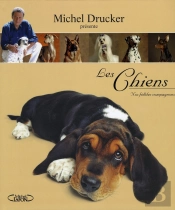 Les Chiens ; Nos Fidèles Compagnons