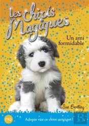 Les Chiots Magiques N08 Un Ami Formidable