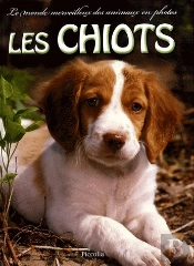 Les Chiots