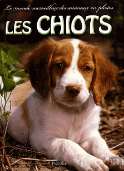 Bertrand.pt - Les Chiots