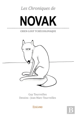 Bertrand.pt - Les Chroniques De Novak - Tome 1